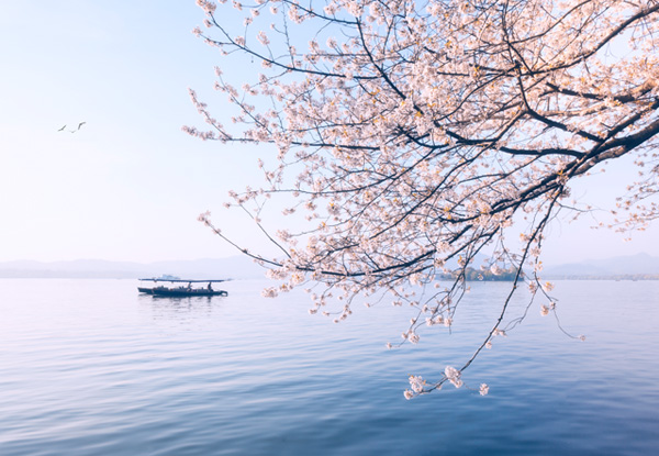 【華東旅游雙飛五日游】南潯+烏鎮(zhèn)+耦園+ 瘦西湖+體驗(yàn)“皮包水”文化